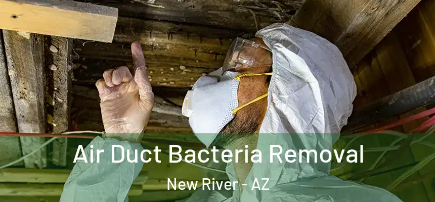 Air Duct Bacteria Removal New River - AZ