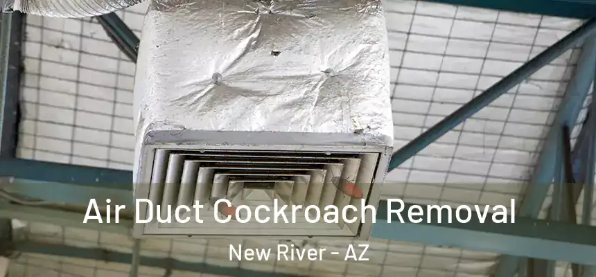 Air Duct Cockroach Removal New River - AZ