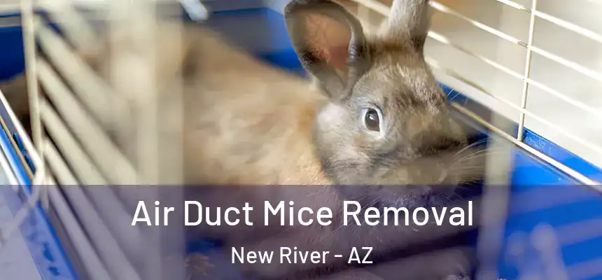 Air Duct Mice Removal New River - AZ