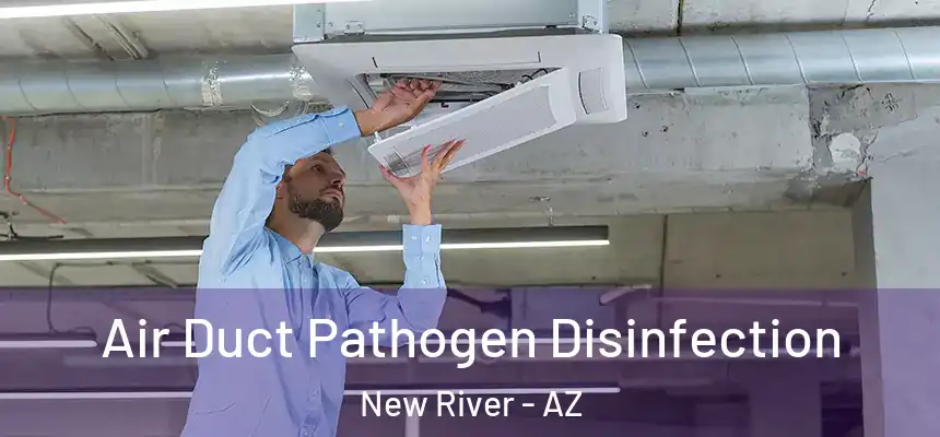 Air Duct Pathogen Disinfection New River - AZ