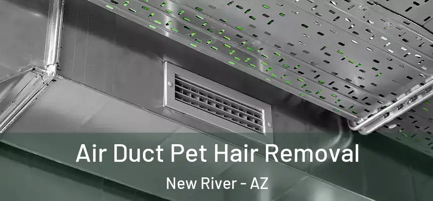 Air Duct Pet Hair Removal New River - AZ