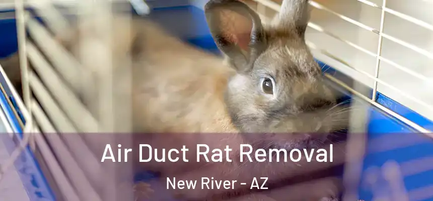 Air Duct Rat Removal New River - AZ