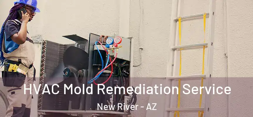 HVAC Mold Remediation Service New River - AZ