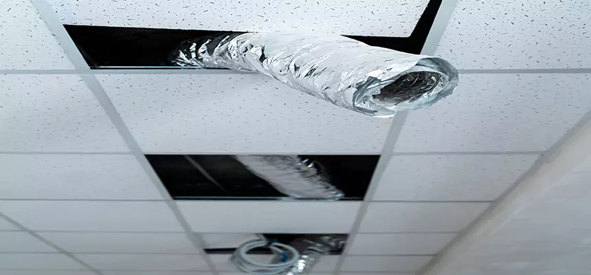 Our Air Duct Pet Hair Removal Services in New River, AZ