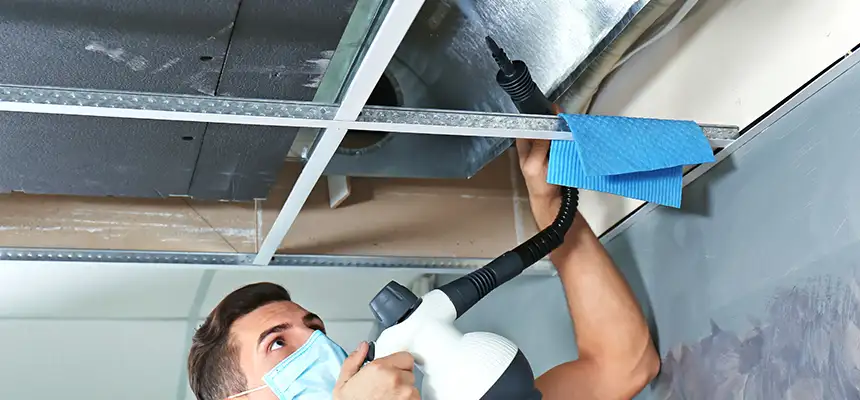 Our Air Duct Rodent Removal Services in New River, AZ