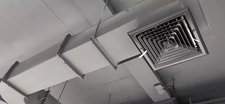 Restorative Allergy Relief Vent Cleaning – Coil, Blower & Housing Detail in New River