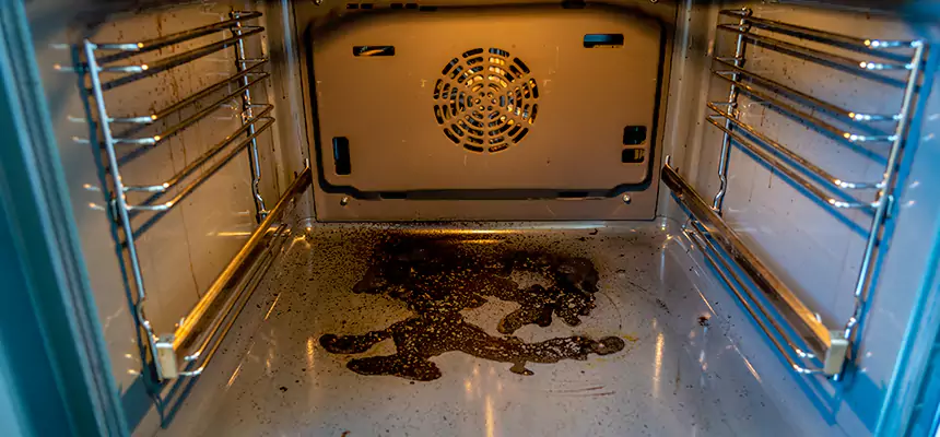 Our Dryer Vent Mold Cleaning Services in New River, AZ