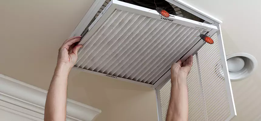 Our Insect Removal from Air Ducts Services in New River, AZ