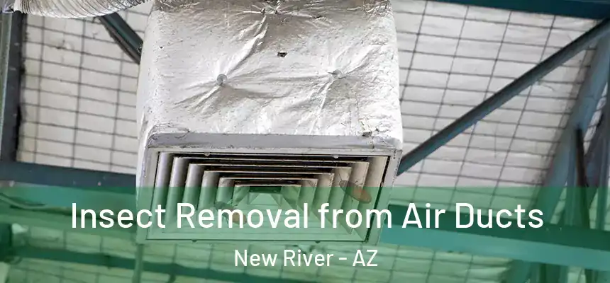 Insect Removal from Air Ducts New River - AZ