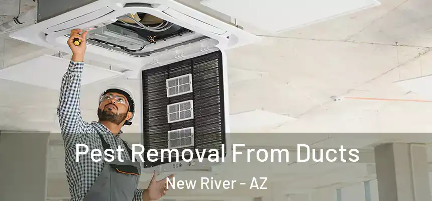 Pest Removal From Ducts New River - AZ
