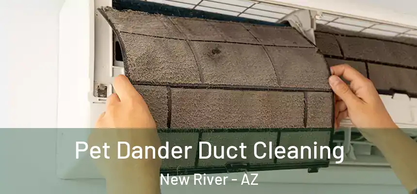 Pet Dander Duct Cleaning New River - AZ