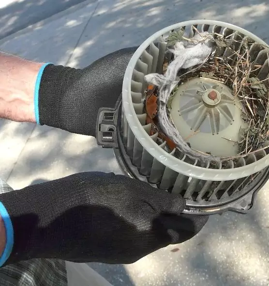 About Air Duct Mice Removal in New River, AZ