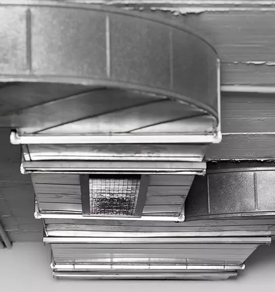 Professional Air Duct Pest Removal in New River, AZ