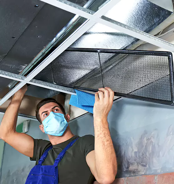 Professional Air Duct Pollen Cleaning in New River, AZ
