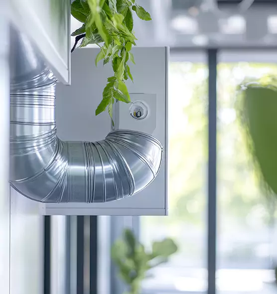 Professional Eco-Safe Dryer Vent Cleaning in New River, AZ