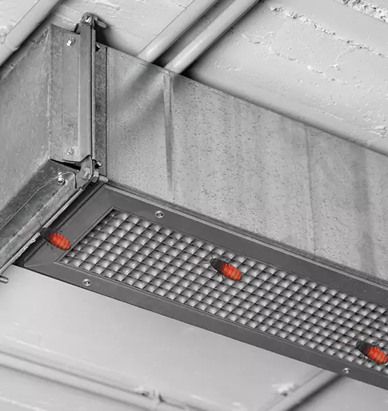 Affordable Insect Removal from Air Ducts in New River, AZ