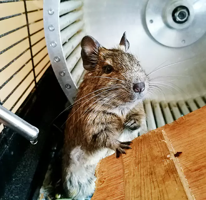 Why Homeowners & Businesses Trust Us New River, AZ?