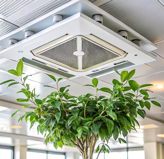 Why Homeowners & Businesses Trust Us in New River, AZ